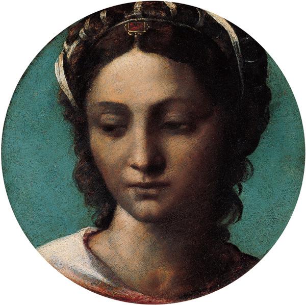 Sebastiano del Piombo Head of a Woman oil painting picture